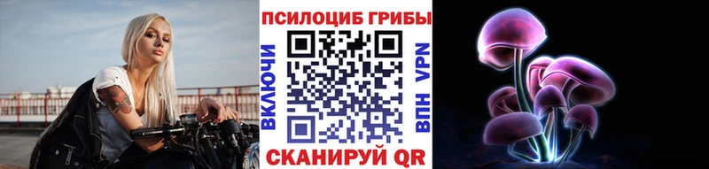 Купить где Новотроицк Псилоцибиновые грибы GOLDEN TEACHER